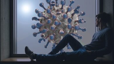 corona virus pandemic guide