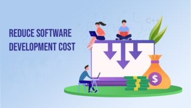 How to Reduce the Cost of Software Development