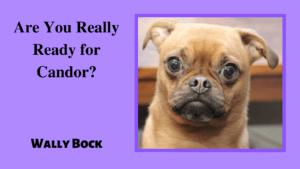 Are you really reCandorady for candor?