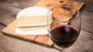 Healthy eating: Why cheese and red wine are good for your brain