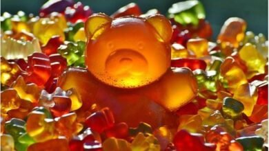 How Many CBD Gummies Should A Beginner Consume In A Day?
