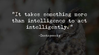 10 Things That Truly Intelligent People Have in Common