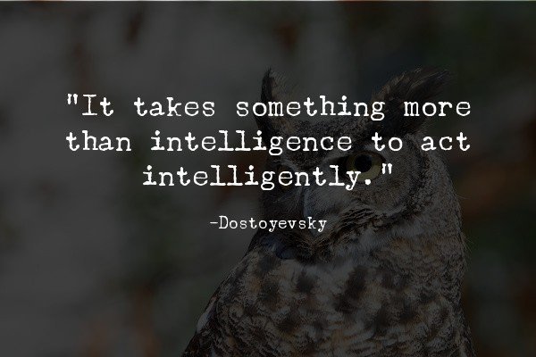 10 Things That Truly Intelligent People Have in Common