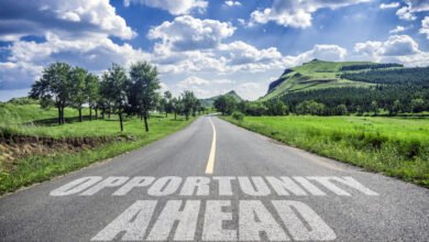 THE PSYCHOLOGY OF OPPORTUNITIES