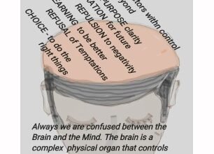 7 Functions Of The Mind