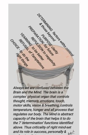 7 Functions Of The Mind