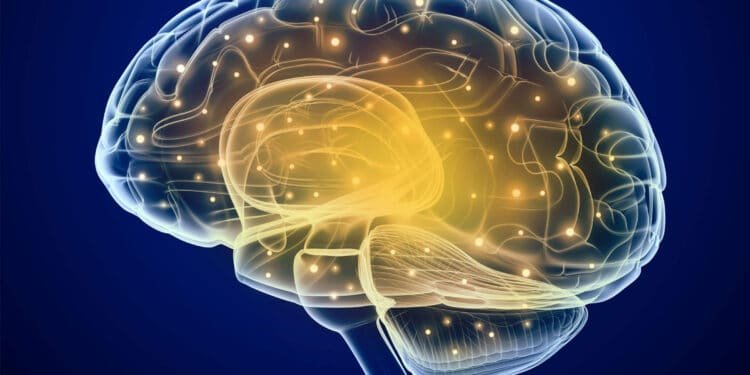 Neuroimaging study sheds light on how to clear thoughts from your brain’s working memory system