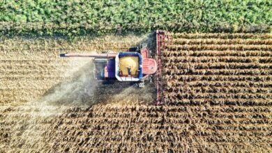 7 Ways Drone Tech Can Help Improve Farm Management