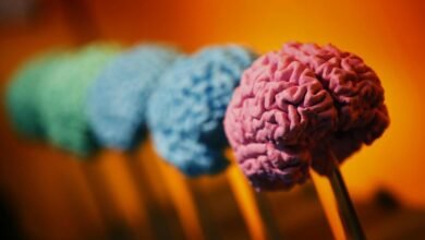 Scots dementia experts hail 'exciting' Alzheimer study