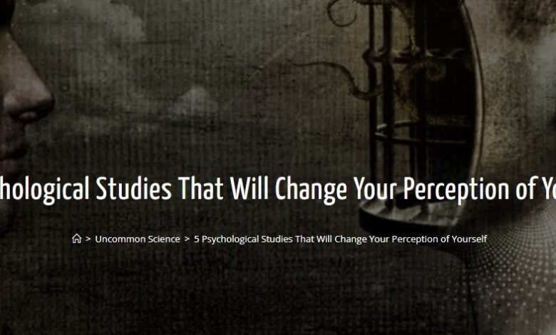 5 Psychological Studies That Will Change Your Perception of Yourself