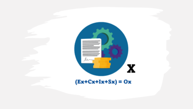 The Winning Formula for Business Excellence: Organisation Experience : (Ex + Cx + Ix + Sx) = Ox